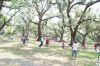 picnic065.jpg
